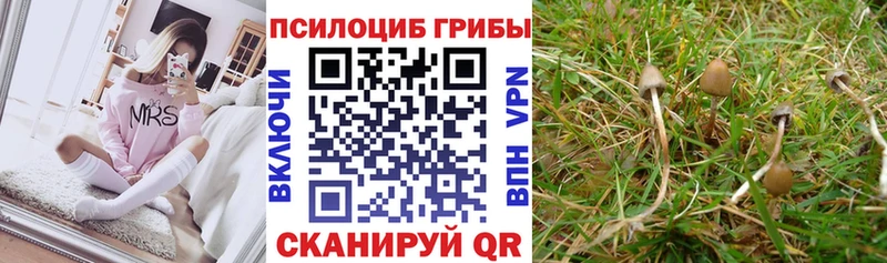 где найти   МЕГА ссылки  Галлюциногенные грибы GOLDEN TEACHER  Лаишево 