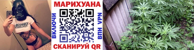 Бошки Шишки гибрид  магазин продажи наркотиков  Лаишево 